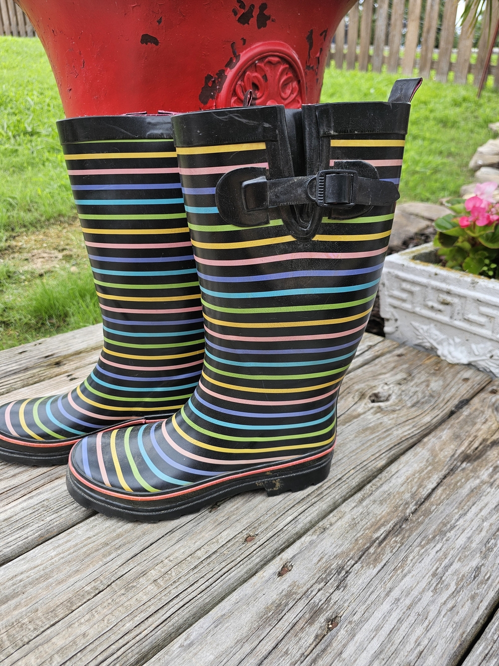 Capelli New York Ladies Tall Rain Boots Size 8 Euc Classic Colorful Cute Comfy